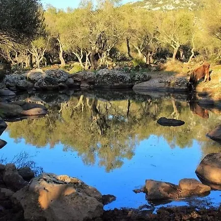 Casa Arianna Lejlighed Àrbatax